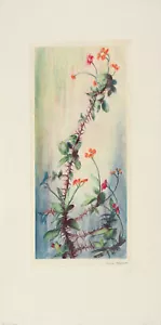ERNST CREMALLERA FIRMADO De Colección C1955-60 Grabado CRISTERSDORN, ESPINA DE CRISTO - Imagen 1 de 1