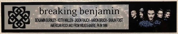 PLACA DE IDENTIFICACIÓN A TODO COLOR ROMPIENDO BENJAMIN Foto 1 de 1