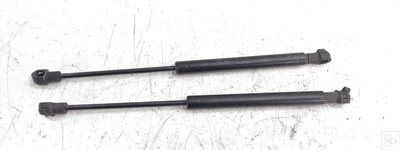 Dämpferstange der Hintertür. Links SMART SMART COUPE' (C450) 800 cdi (30Kw) - Bild 1 von 4