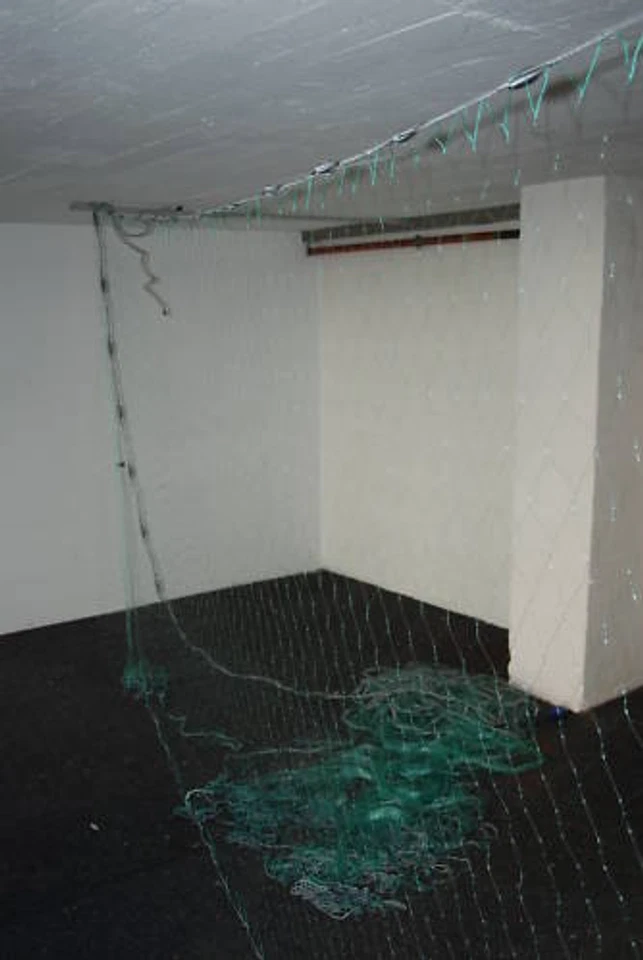 Profi Stellnetz Fischernetz 50mX1,60mX 125mm Heilbutt Wels Karpfen Plattfisch - Bild 1 von 1