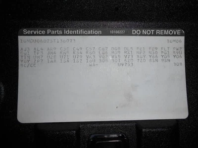 Bomba de dirección asistida 6-191 para furgoneta LUMINA 90-95 531670 Foto 1 de 4