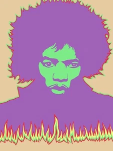 NEW Jimi Hendrix Experience Concert Tour Poster Print Art Canvas Music - Picture 1 of 3