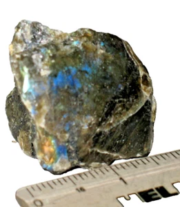 Labradorite spectrolite 1 chunk 2.6 oz blue flame + multi color polished 1 side - Picture 1 of 4