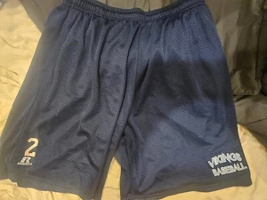 Jock HS Vikings #2 Shorts Mens Large Blue Mesh Russell Baseball - Picture 1 of 3
