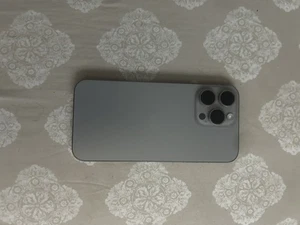Apple iPhone 15 Pro Max - 256 Go - Pile 100% depuis 3 mois - Photo 1 sur 4