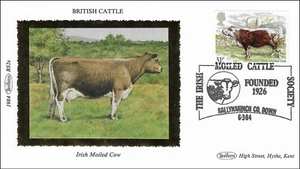 Irish Moiled Cow British Cattle Cow UK GB Gold Benham Silk FDC 1984 - Picture 1 of 2