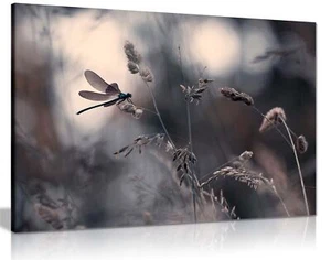Blaue Libelle auf einer Blume Blumen Garten gerahmt Leinwand Druck Wandkunst Wohnkultur - Bild 1 von 6