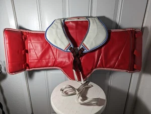 Low Cost Reversible GTMA Size Large Martial Arts / Chest Guard / Lightly Used - Picture 1 of 6