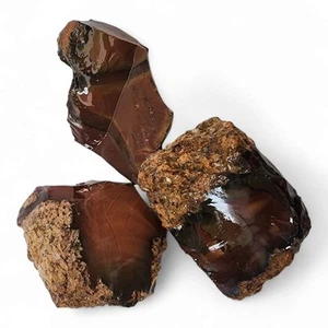 Bruneau Jaspis Rohstücke 358,4 Gramm. Lapidar oder Display. - Bild 1 von 2