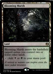 Blooming Marsh Kaladesh #243 Lightly played - Picture 1 of 2