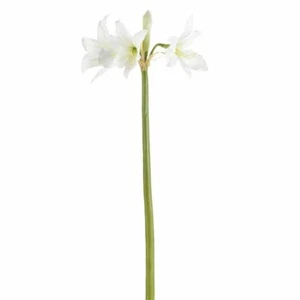 Trompeta amarilis 37,5" tallo blanco - Imagen 1 de 1