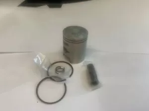 KIT DE PISTONES LEM Malaguti Grizzly fantic Italjet Minarelli Morini 50 S5 39,50... - Imagen 1 de 1