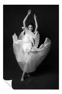 Póster artístico de mujer bailando en blanco y negro vestido de cisne arte de pared decoración del hogar - Imagen 1 de 4