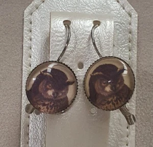Round Owl Theme Lever Back Earrings - Picture 1 of 4