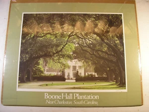 Große Postkarte Fotodruck/Poster: Boone Hall Plantation, 17” x 23”, Neu - Bild 1 von 8