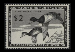 RW21 Duck Hunting $2 Black RING-NECKED DUCKS 1954 MNH $85 SEE PHOTOS Lot Q-695 - Picture 1 of 1