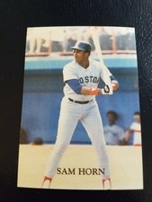 Sam Horn Boston Red Sox 1988 Stars of 88.#15 Broder Oddball WOW