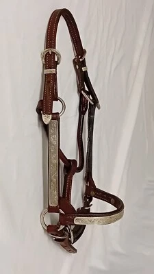 Show Halfter für Fohlen, handgravierte Silberbeschläge, handgenäht, Neuwertig - Bild 1 von 4