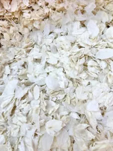 Natural Biodegradable Wedding Confetti Ivory Petals Dried Vintage Flowers For 15 - Picture 1 of 3