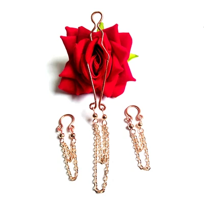 Set Intimschmuck, Brustwarzenringe & Klitorisklemme ohne Piercing Vaginal Klitorisklemme - Bild 1 von 4