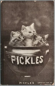 PICKLES BOWLS of KITTENS ANTIQUE POSTCARD - Picture 1 of 2