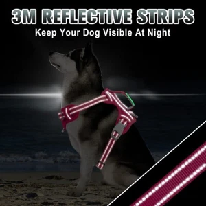 BARKBAY No Pull Dog Harness Large Step in Reflective Dog Harness - Picture 1 of 8