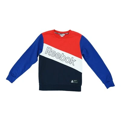 Sudadera Reebok Juvenil L (10/12) Colorblock Logo Reebok Fitness Entrenamiento Foto 1 de 4