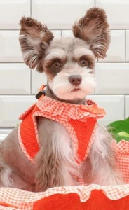 Puppia Dog Harness Vest No Pull Adjustable Soft Mesh Sz XS NEW BID4 CHARITY❤️335 - Picture 1 of 7