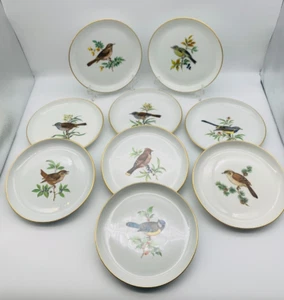 Meissen Schwertermarke 1. Wahl Wandteller Ø 17cm Vogelmalerei 9 Motive Goldrand - Bild 1 von 18