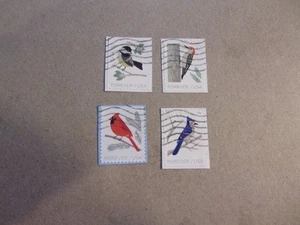 USA Used, 2018 Issue, Birds of Winter (Set of 4) - Picture 1 of 1