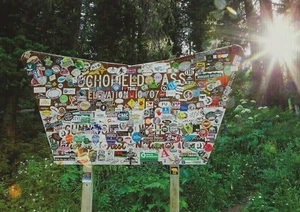 Postcard Colorado Schofield Pass Sign Gunnison/White River US Nat'l Forest MINT - Picture 1 of 1