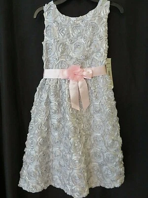Rare Editions Dressy Dress 573223 Silver Ribbon Flowers Pink Sash Sz 12.5 #12629 - Image 1 of 4