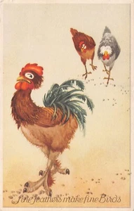Chickens & Rooster Fine Feathers Make Fine Birds No. 10248 Postcard - Picture 1 of 2