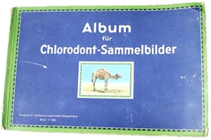 20252b CHLORODONT Sammel Bilder Album II Außereuropäische Säugetiere 1934 Tiere - Bild 1 von 6