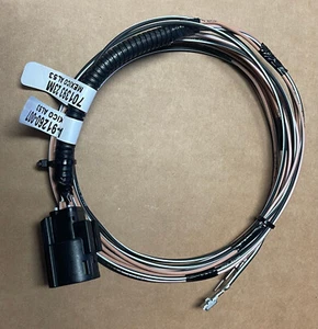 FREIGHTLINER Wiring Harness B A06-91260-007 - Picture 1 of 4