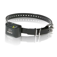 dogtra dummy collar