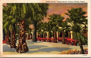 Postal publicada de Palm Grove North Beach Corpus Christi Texas - Imagen 1 de 2