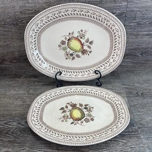 2 Johnson Brothers Fruit Sampler Oval Serving Platters Staffordshire Old Granite - Picture 1 of 14
