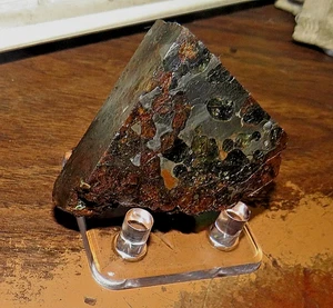 105 gm SERICHO Pallasit Meteoritenscheibe aus Kenia STD Olivin 0,23# Quad Cut - Bild 1 von 7
