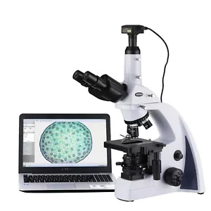Microscopio LED compuesto trinocular infinito profesional AmScope 40X-2000X + 3 MP - Imagen 1 de 8