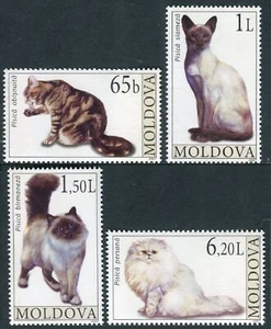 Moldawien 2007 Post Yvert nº 510/513 Fauna / Katzen (4 Val - Bild 1 von 1