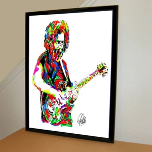 Jerry Garcia Grateful Dead Guitar Music Poster Print Wall Art 18x24 - Picture 1 of 7