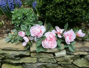 Premium Qualität Rosa Seide Blume Old English Rose Swag 24" - Bild 1 von 6