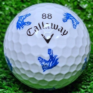 (1) NEW Callaway Truvis Golf Ball-Nags Head Golf Links-Nags Head, NC RARE - Picture 1 of 1