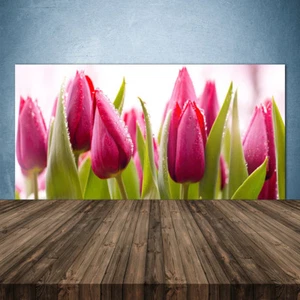 Küchenrückwand aus Glas ESG Spritzschutz 140x70cm Tulpen Pflanzen - Bild 1 von 5