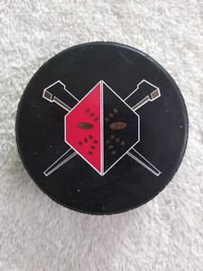 Wheeling Nailers Logo ECHL Hockey Game Promo Puck