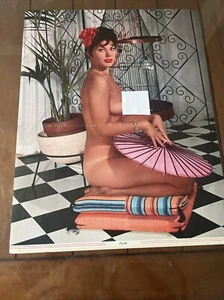 Vintage Nude Glamour Girl Pinup Girl Calendar Print. 20x16 - Bild 1 von 6