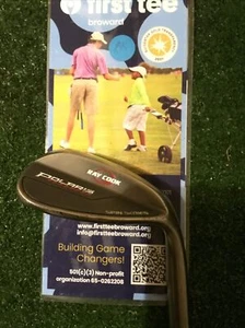 Ray Cook Polaris Spin Series 60* Lob Wedge LW Wedge Flex Steel Shaft - Picture 1 of 9