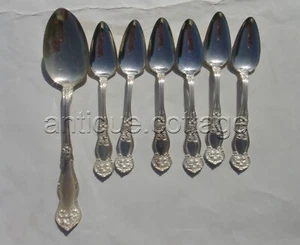 antique Wm Rogers silverplate ORANGE BLOSSOM flatware 7pc SERVING & FRUIT SPOONS - Picture 1 of 3