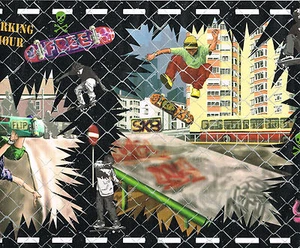* SKATEBOARDS FENCE URBAN Hey dude let's go Skateboarding! Wallpaper bordeR Wall - Picture 1 of 5